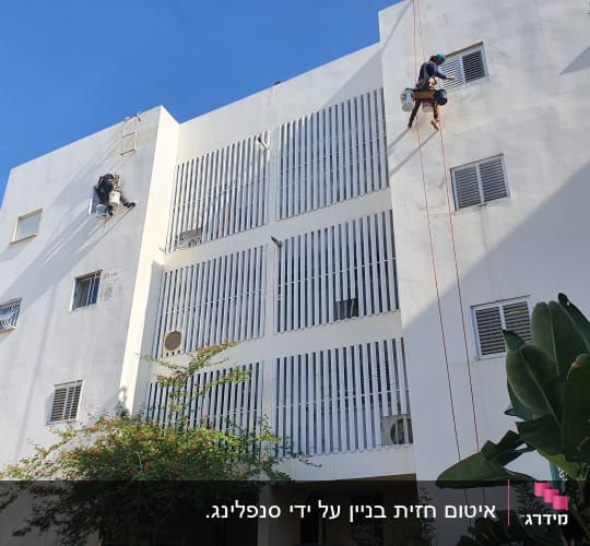 שני עובדים תלויים על חבלים צובעים קיר בניין